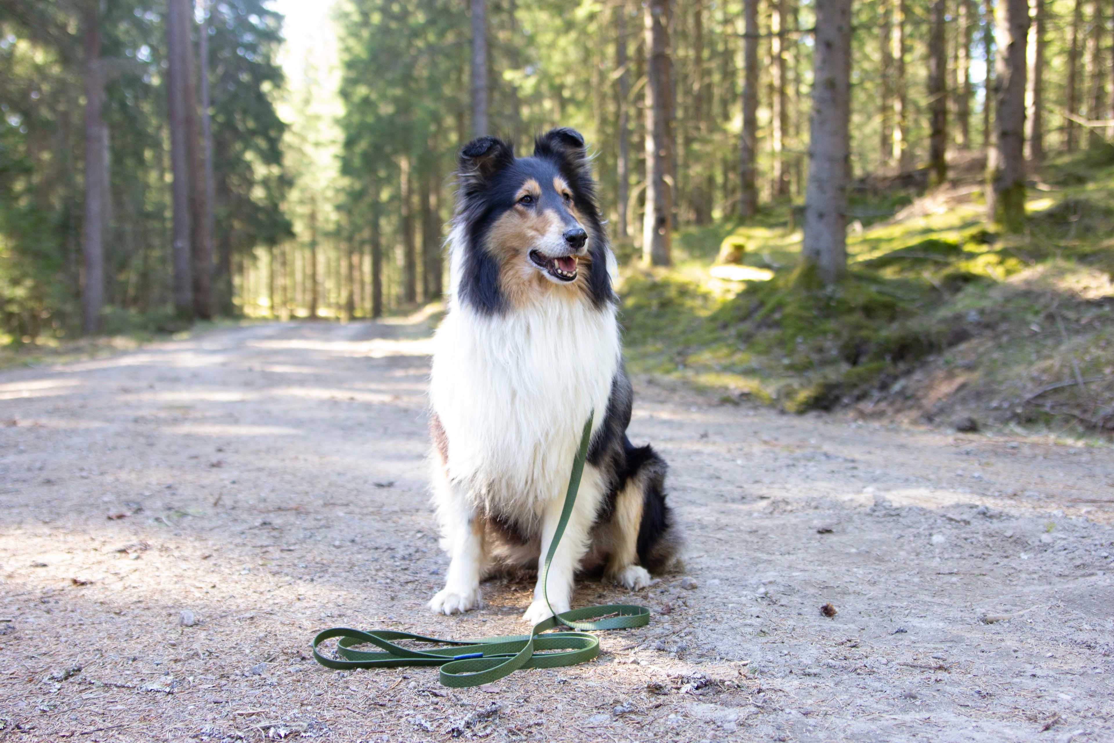 Välja koppel