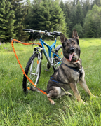 Non-stop cykelantenn