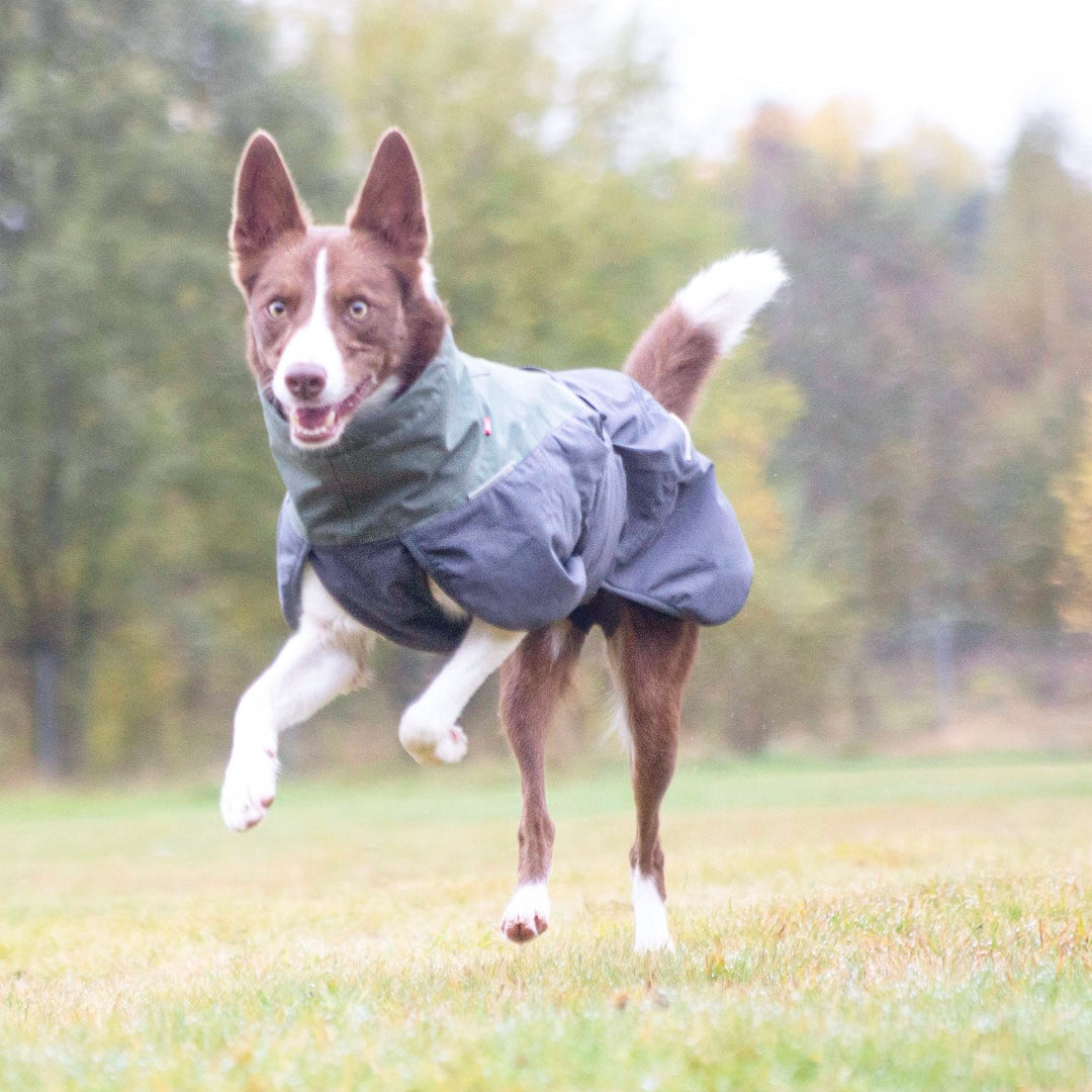 Non-stop Glacier wool