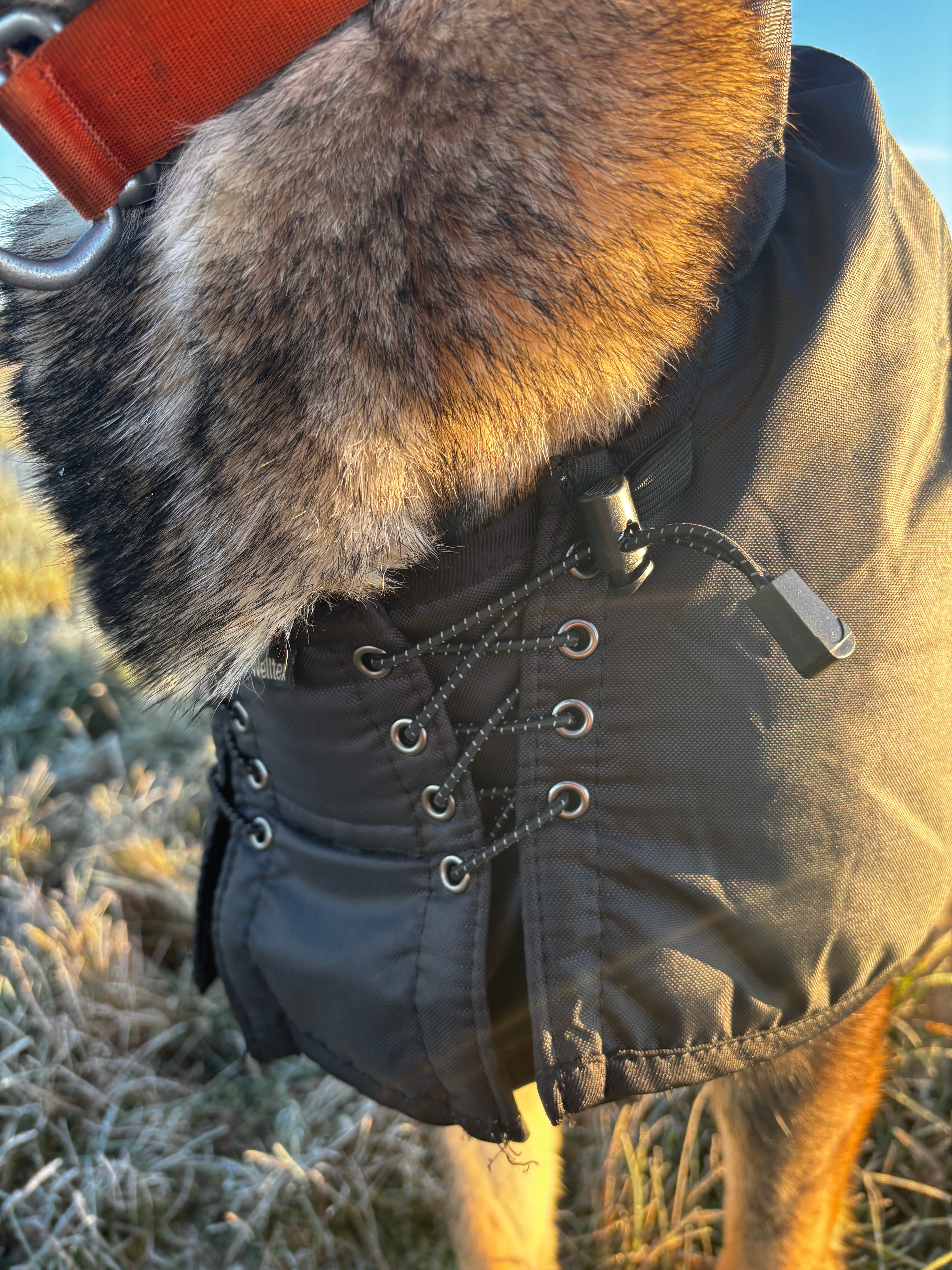 Back On Track Standardtäcke