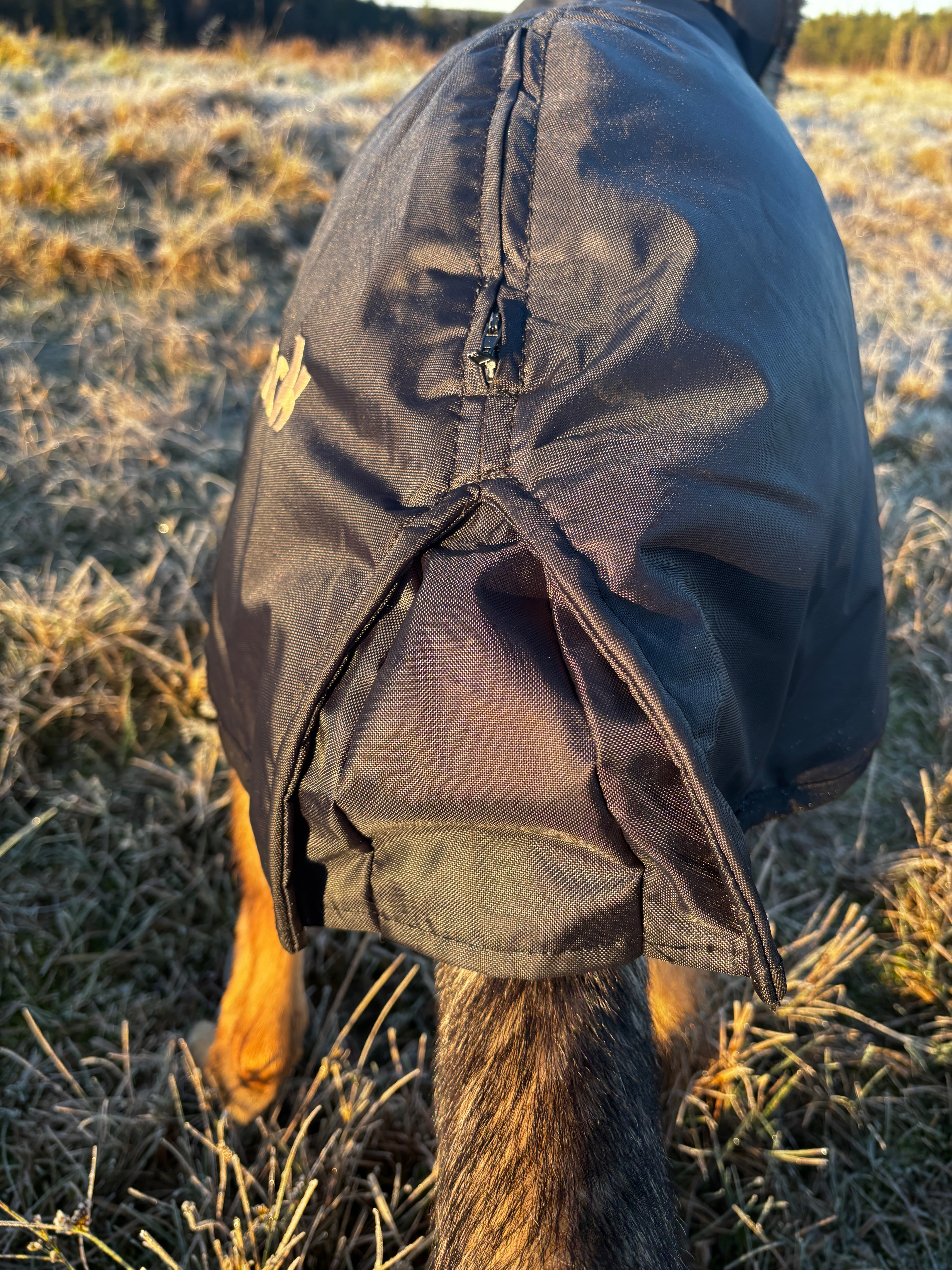 Back On Track Standardtäcke