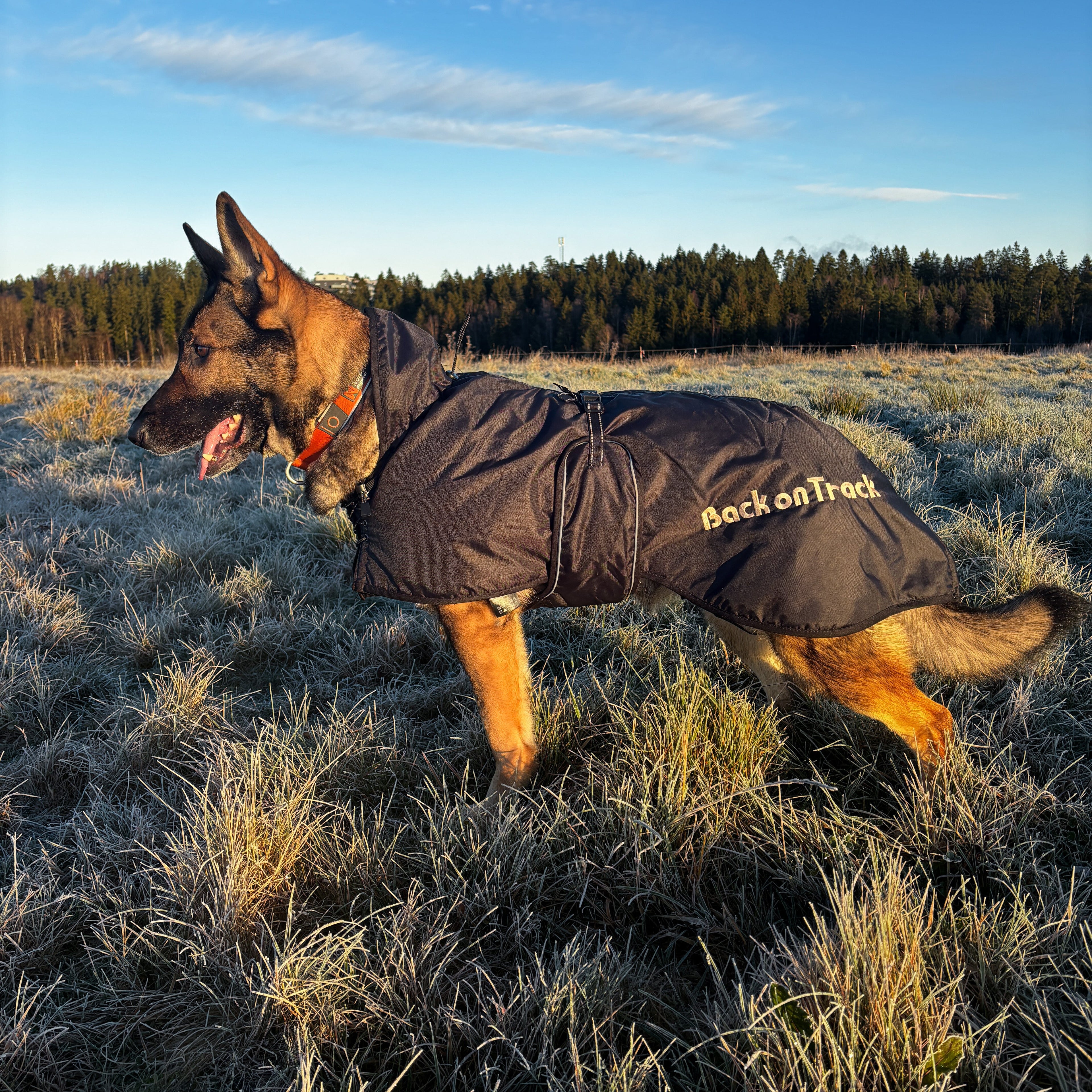 Back On Track Standardtäcke