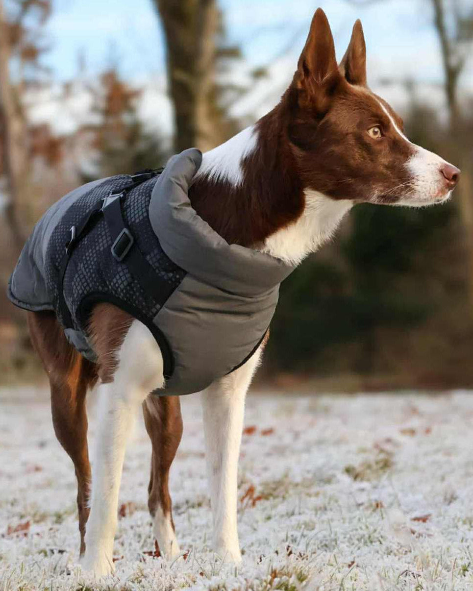 Pontis Fodrat reflextäcke med sele