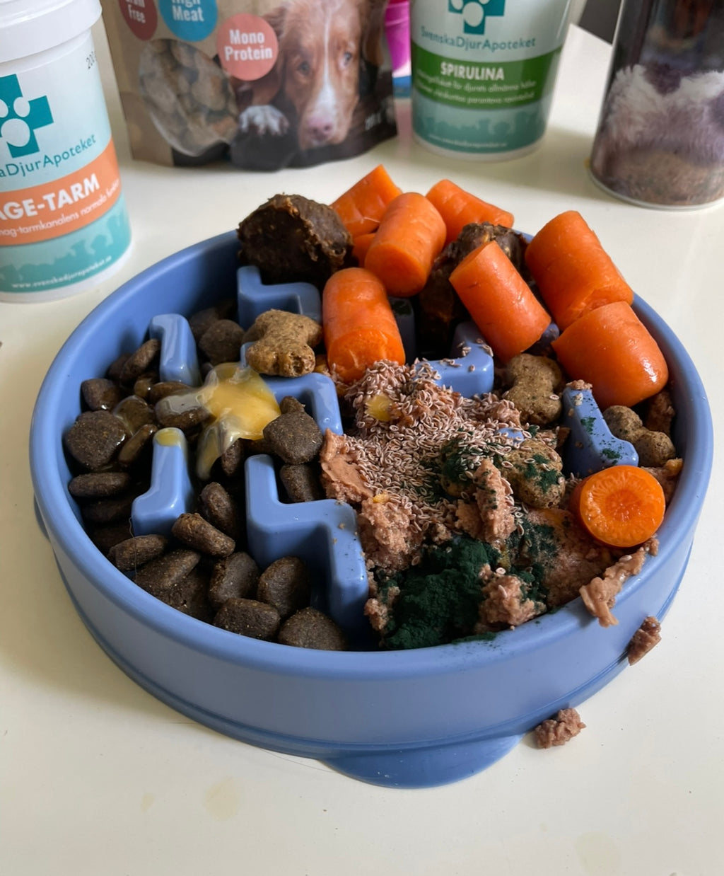 Matskål Fun Feeder Slo-bowl  Blå