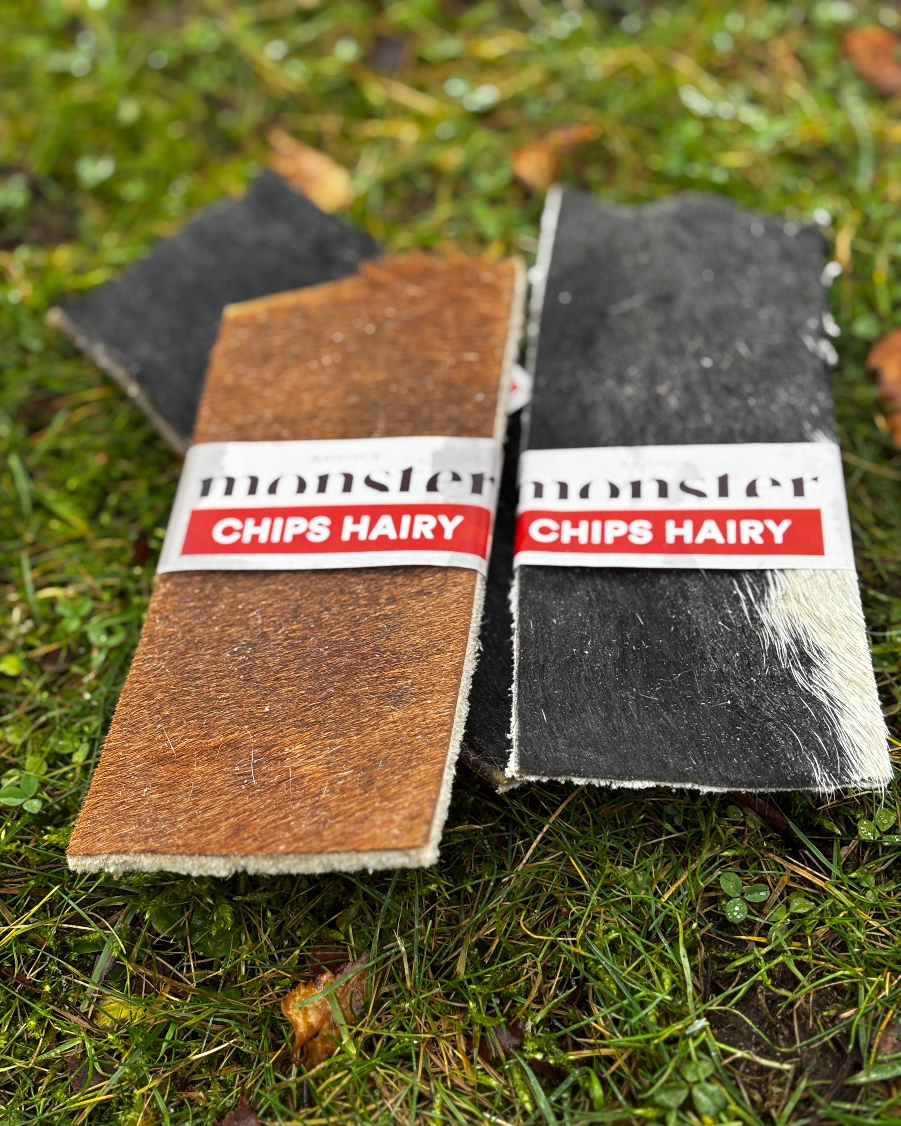 Monster Beef Hairy chips