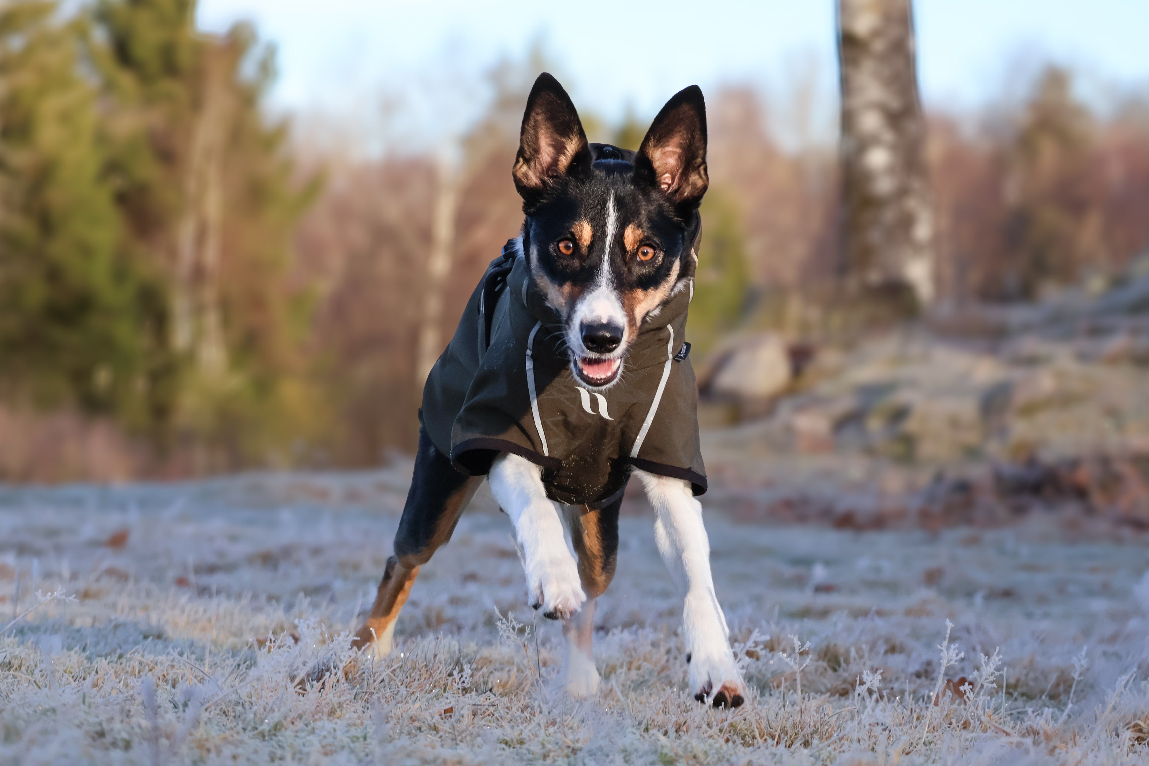 Back On Track Bark Olivgrön