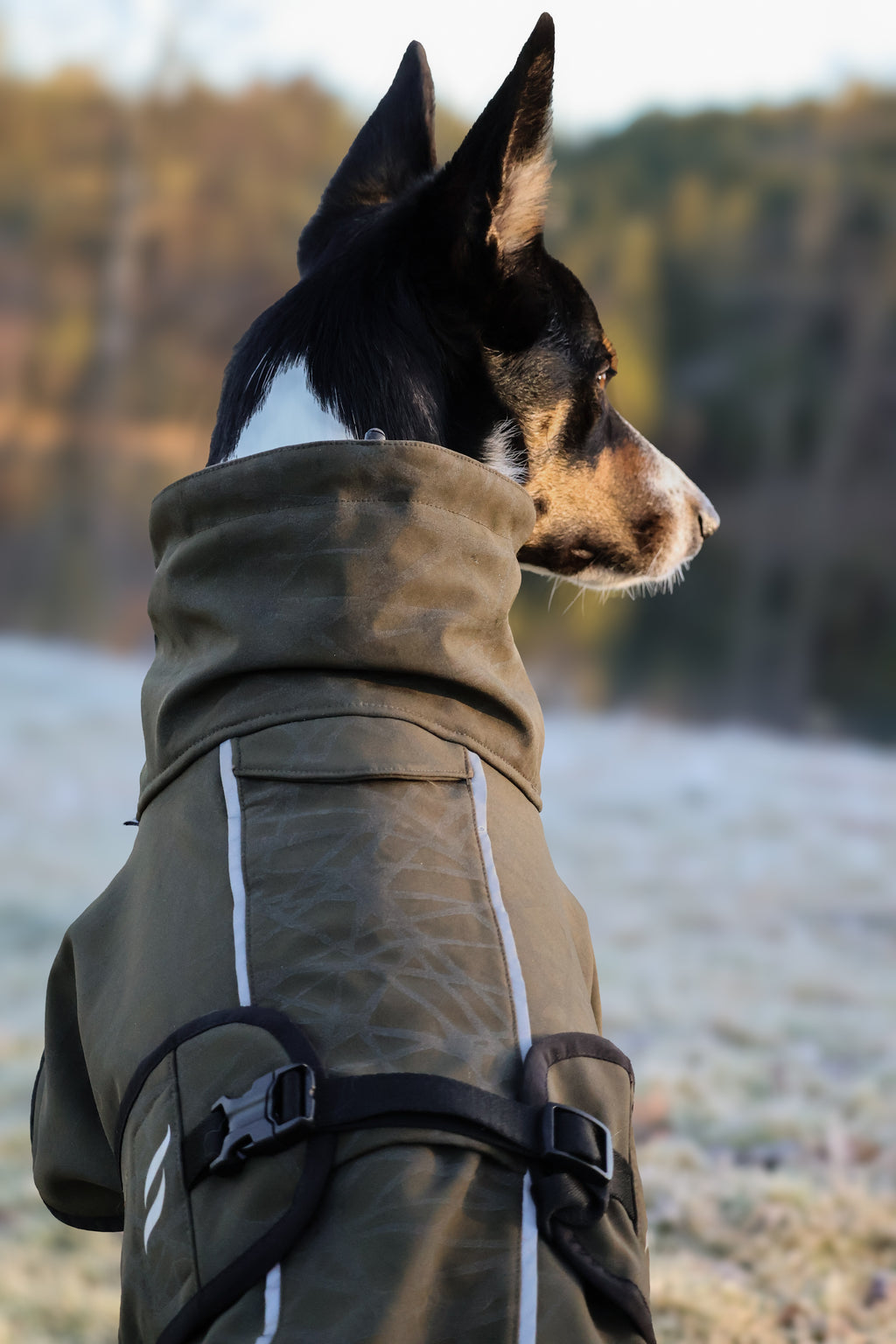 Back On Track Bark Olivgrön