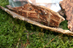Torkad oxlunga 100g