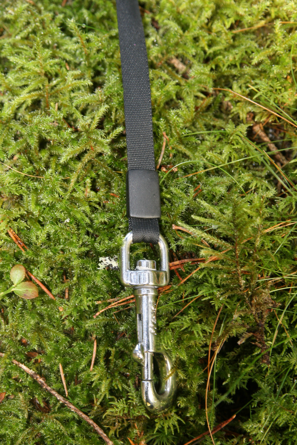 Flexi new classic 8m med band