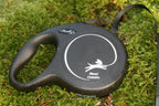 Flexi new classic 8m med band