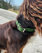 Tassmark Saga Halsband Hexa, Olivgrön