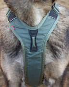Non-stop Ramble harness