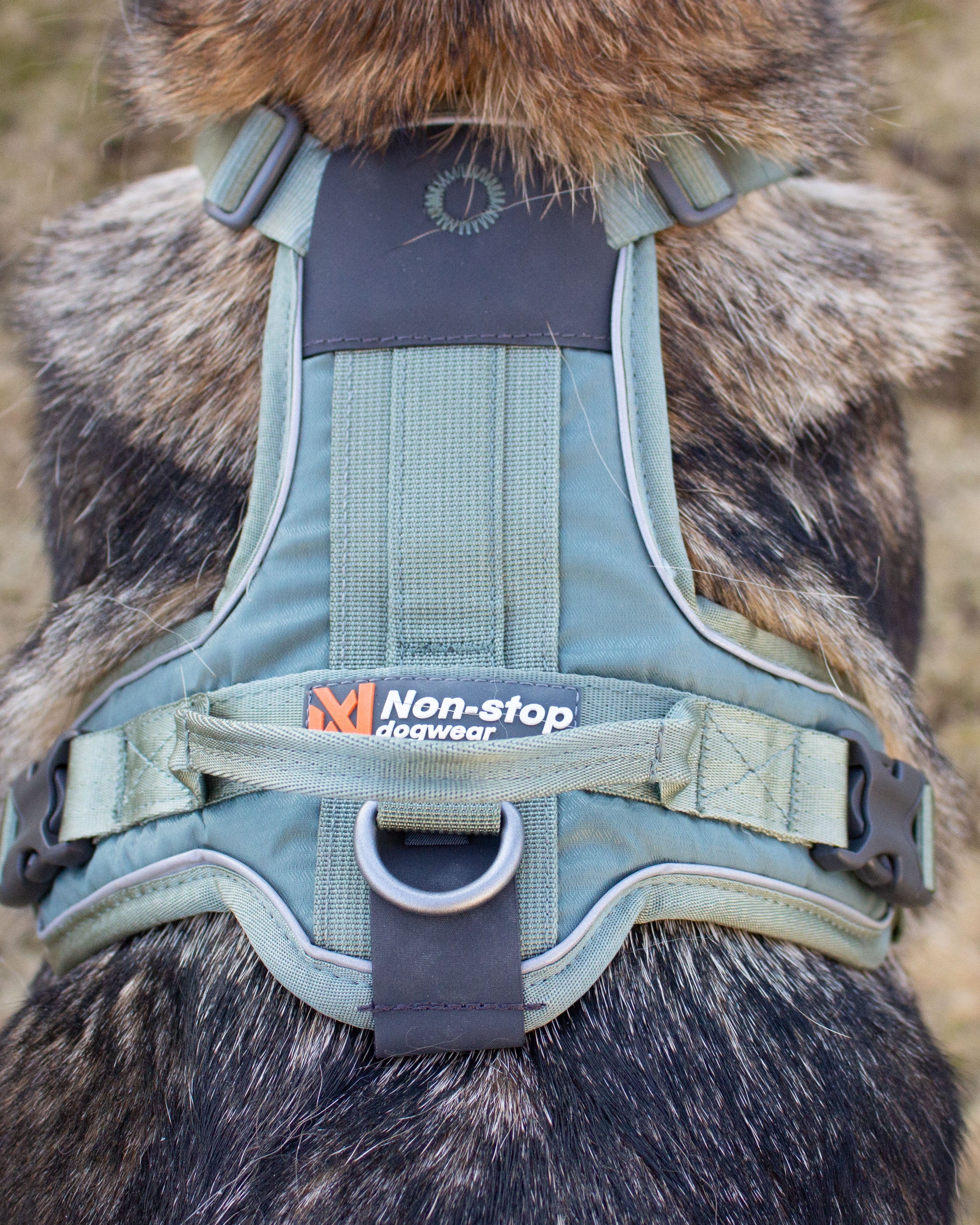 Non-stop Ramble harness