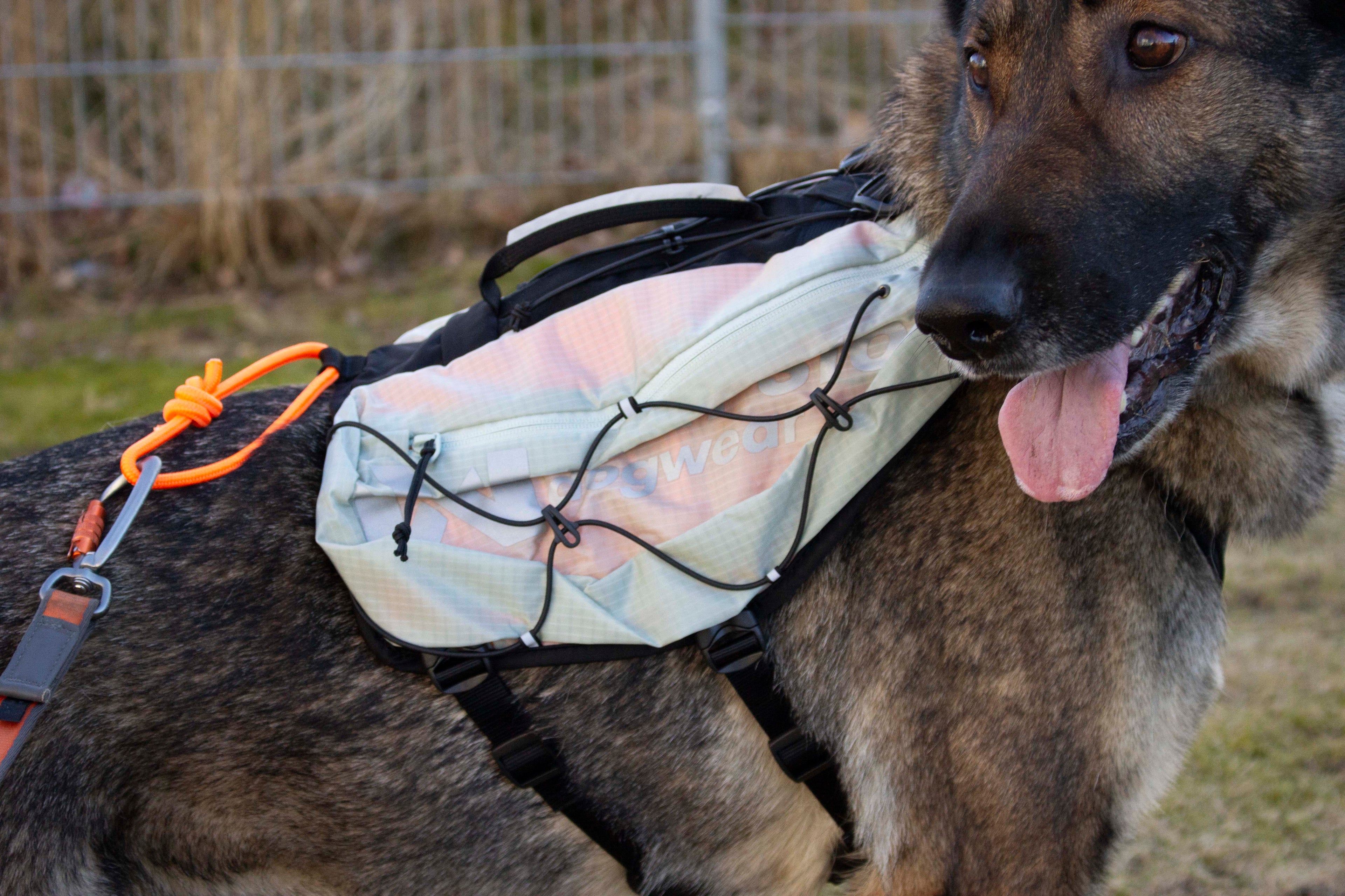 Non-Stop Trail light Dog backpack