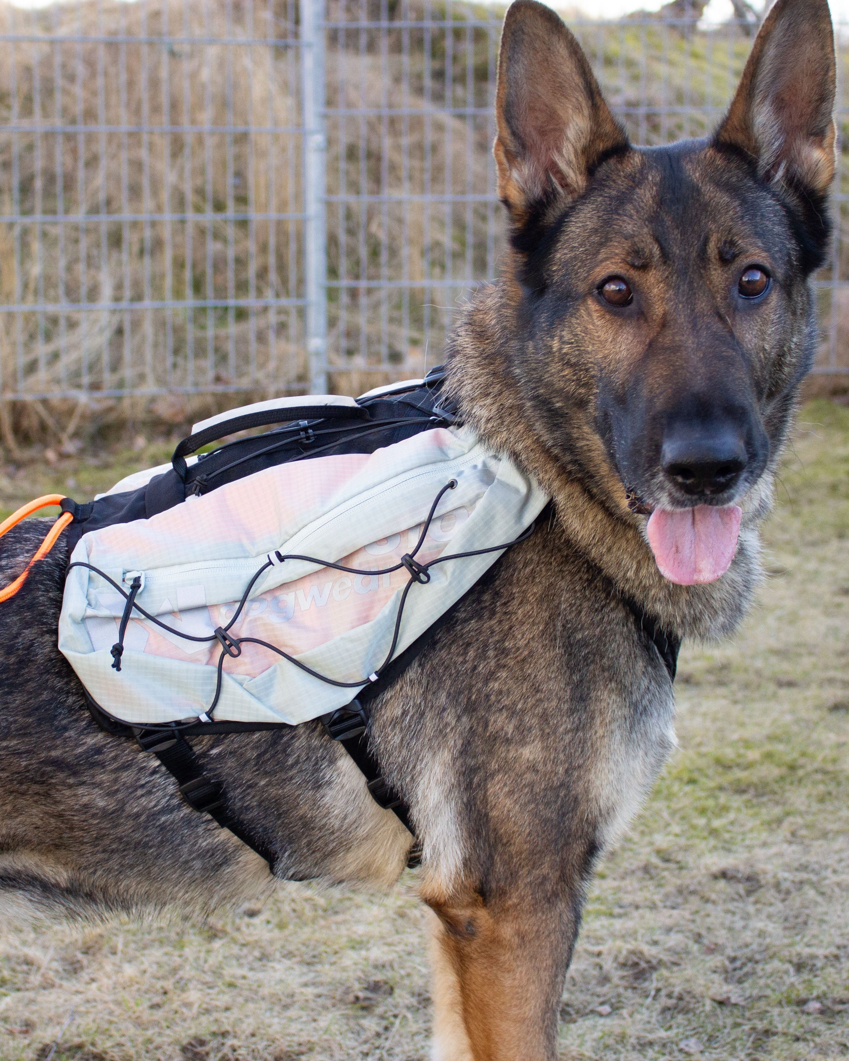 Non-Stop Trail light Dog backpack