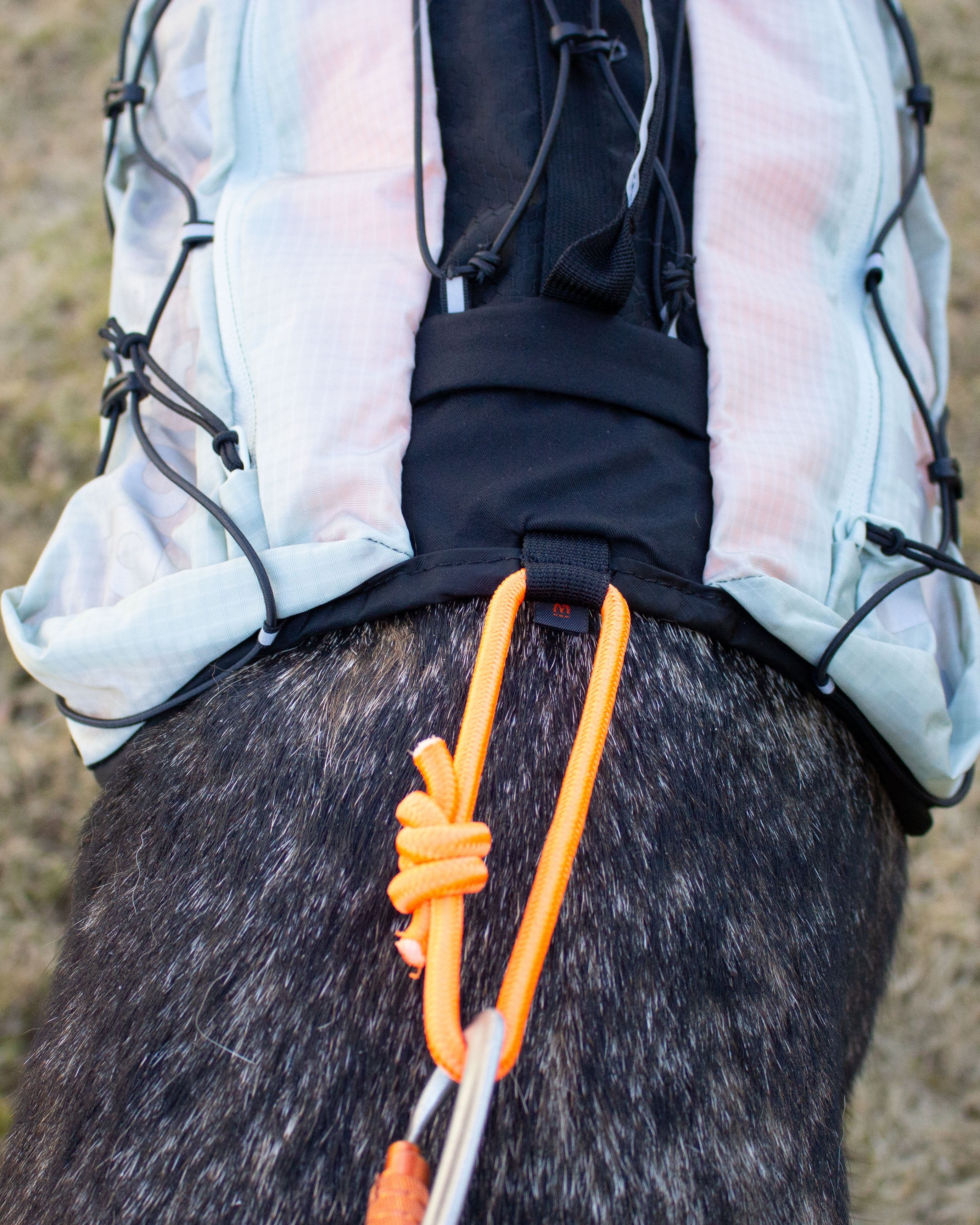 Non-Stop Trail light Dog backpack