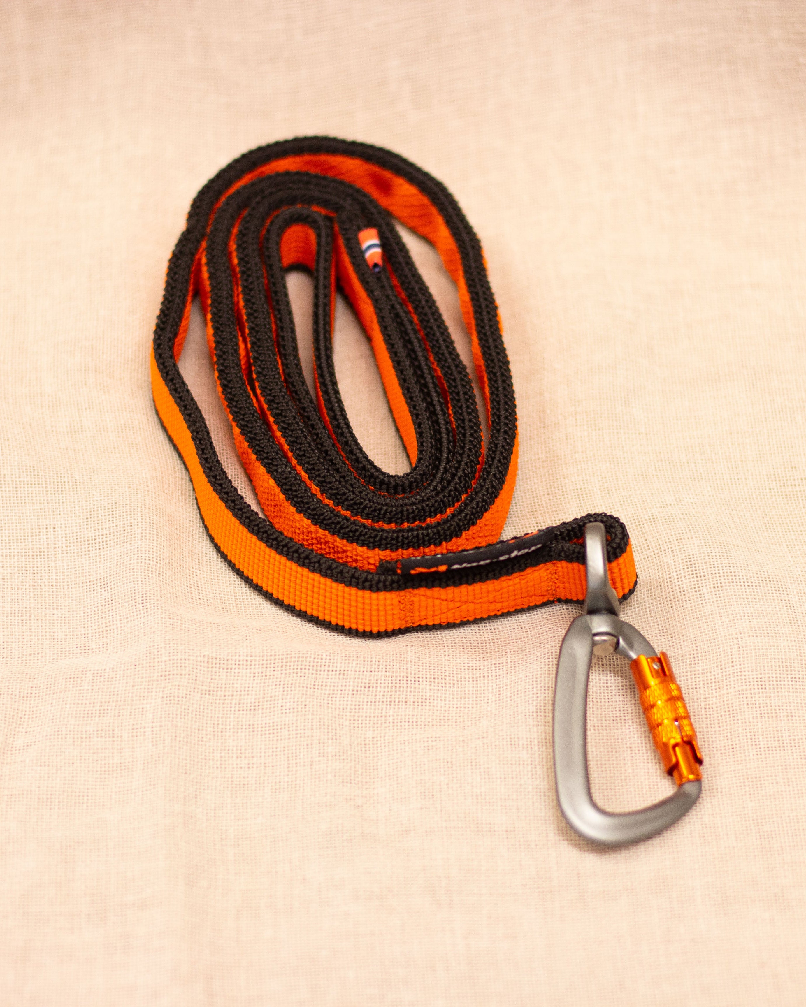 Bungee Leash (Elastiskt koppel )