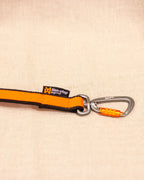 Bungee Leash (Elastiskt koppel )