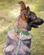 Tassmark Saga Halsband Hexa, Olivgrön