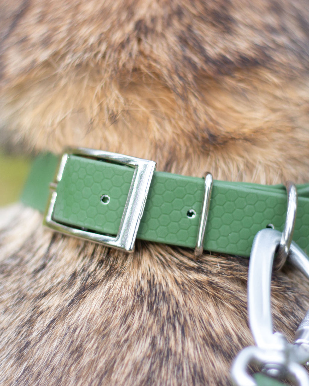 Tassmark Saga Halsband Hexa, Olivgrön