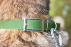 Tassmark Saga Halsband Hexa, Olivgrön