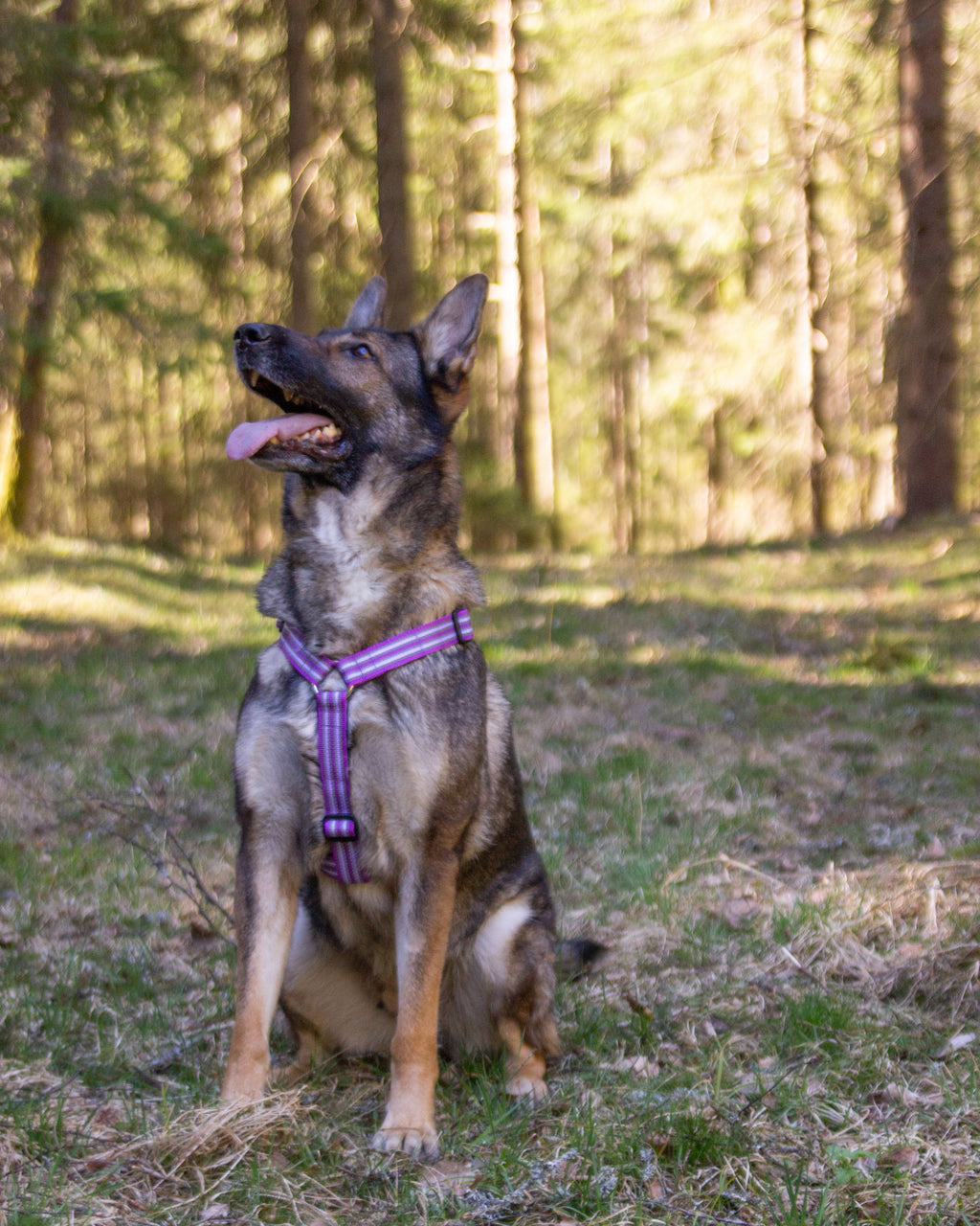 Metizoselen med handtag Lila
