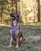 Metizoselen med handtag Lila
