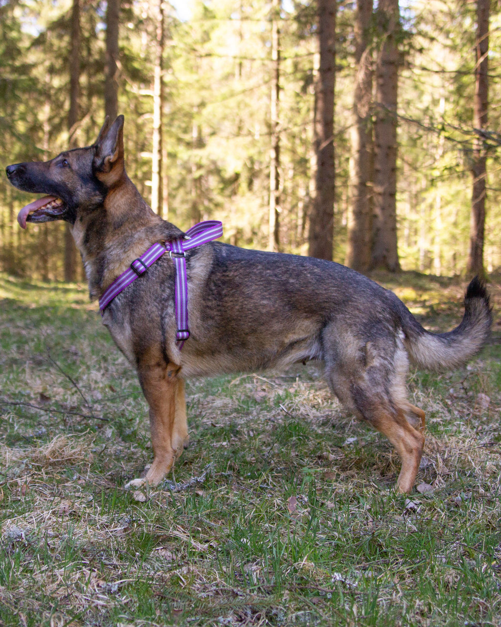 Metizoselen med handtag Lila