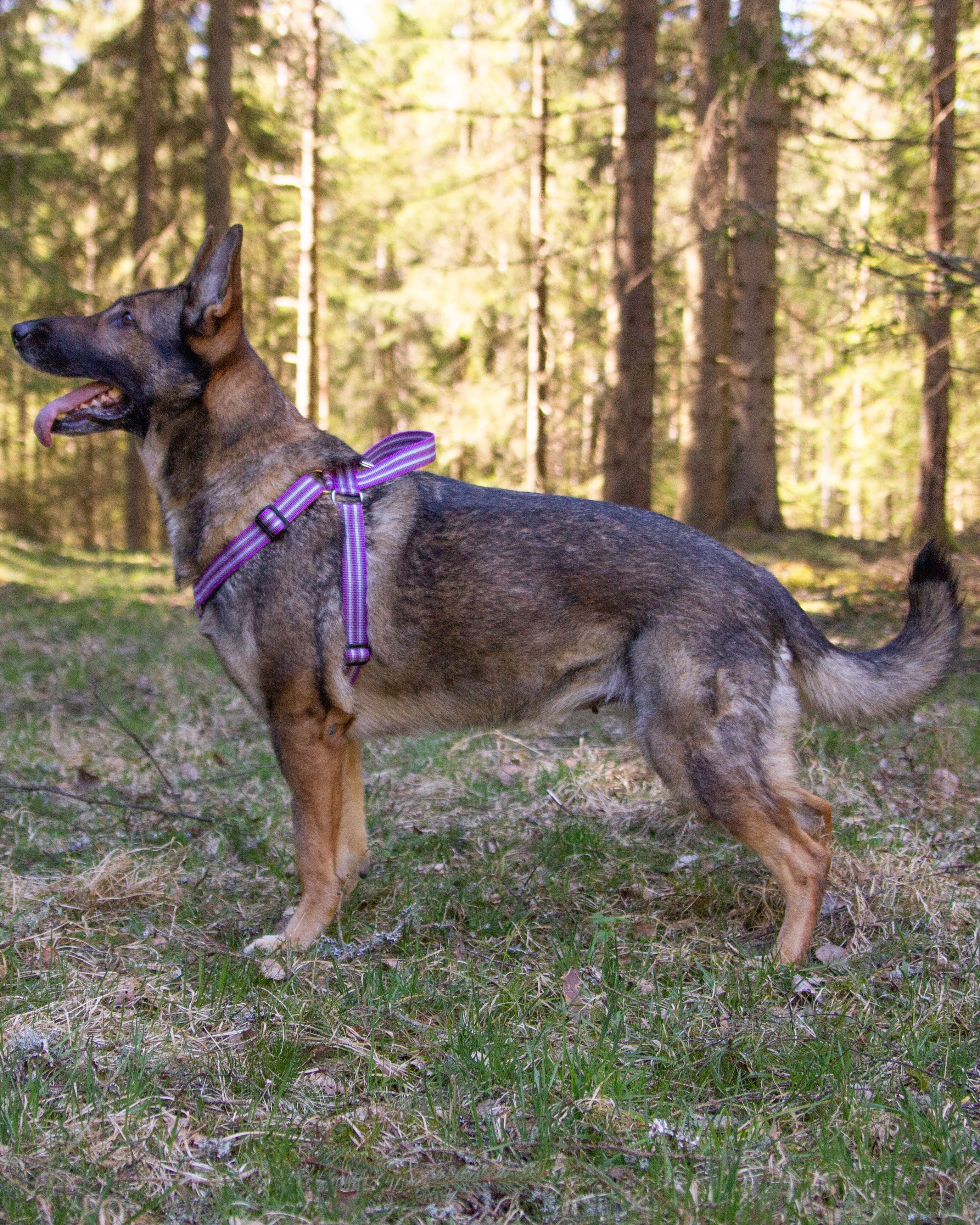 Metizoselen med handtag Lila