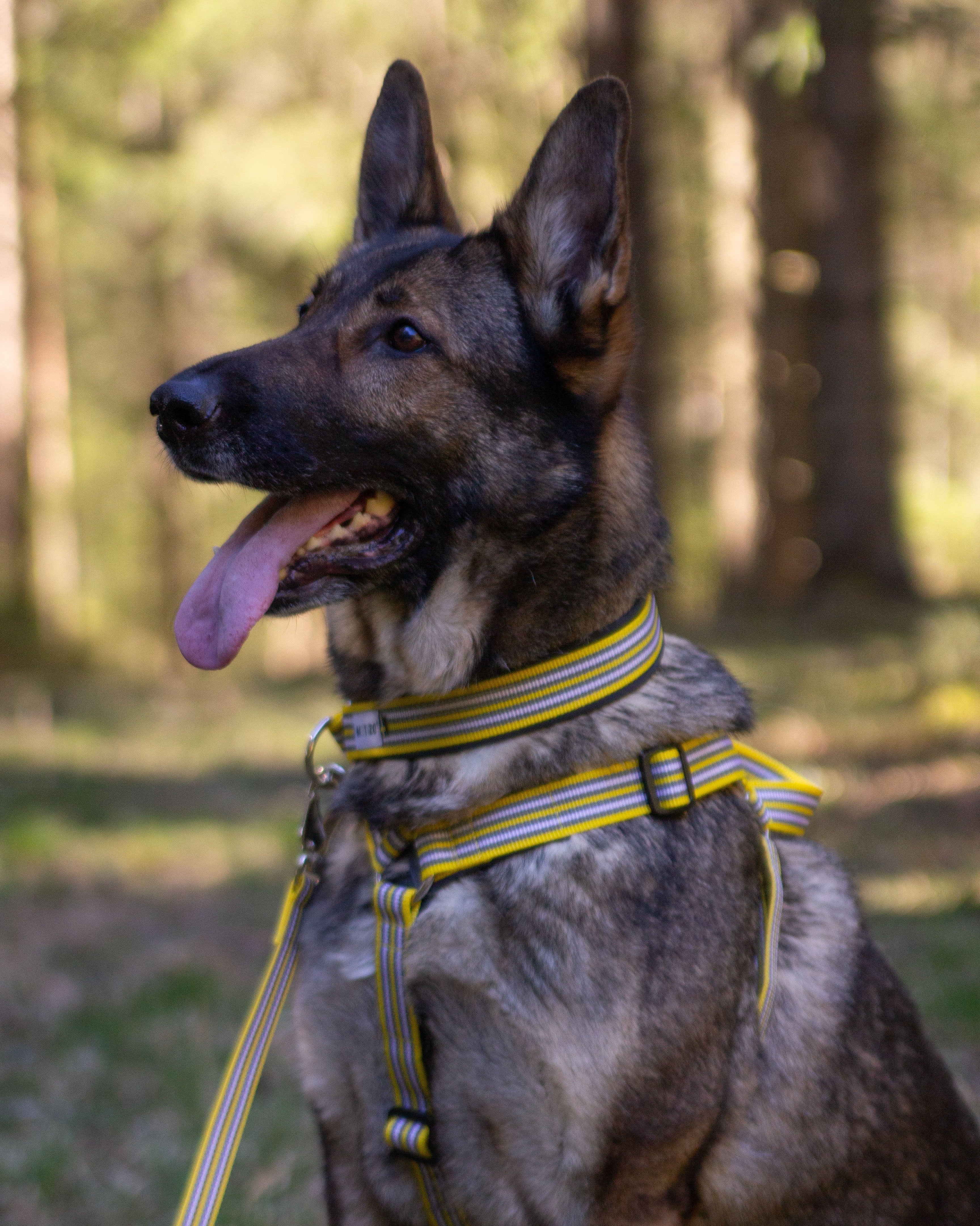 Metizoselen med handtag Gul