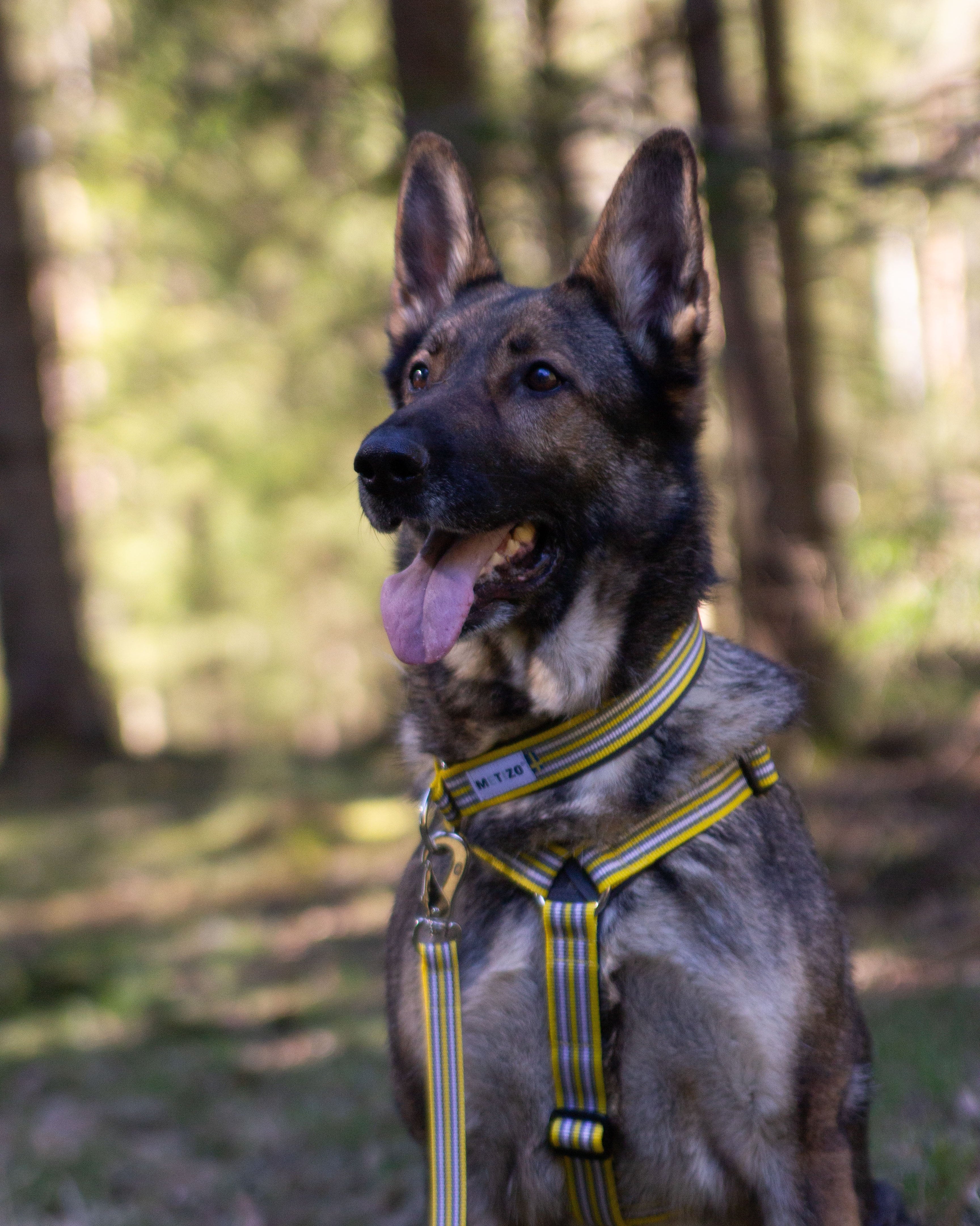 Metizoselen med handtag Gul