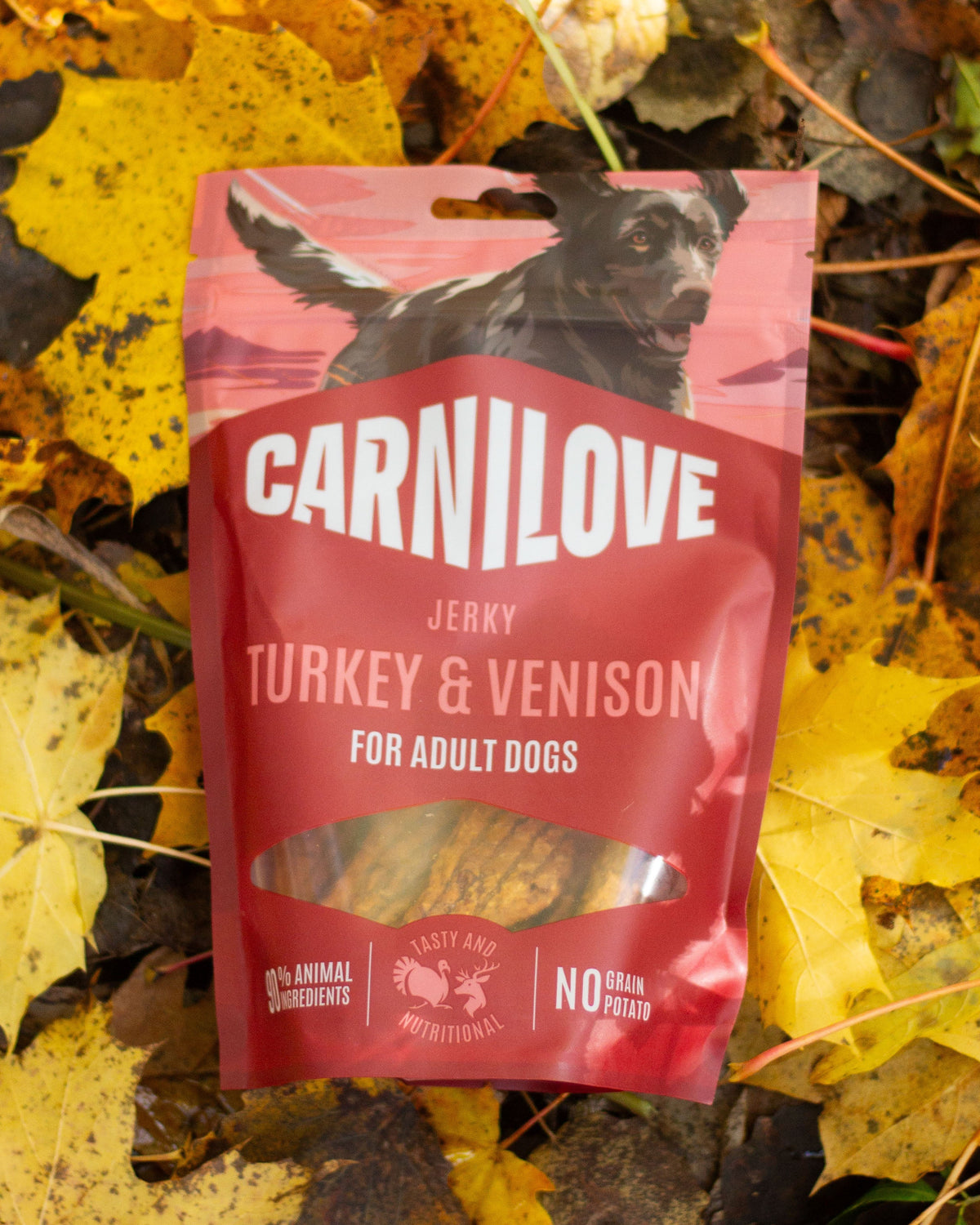 Carnilove Jerky Beef fillet 100g