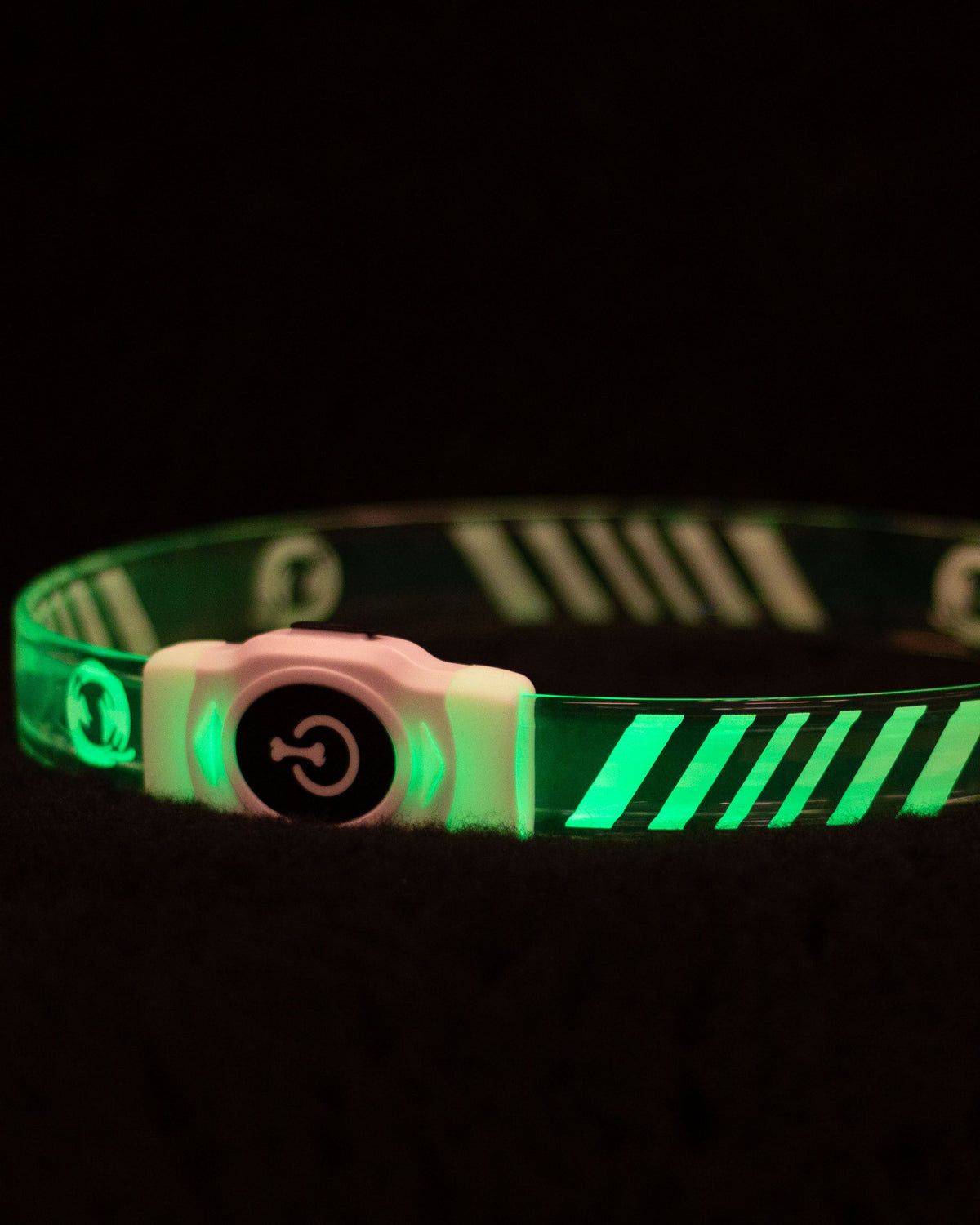 Blinkhalsband bred (pälshundar)