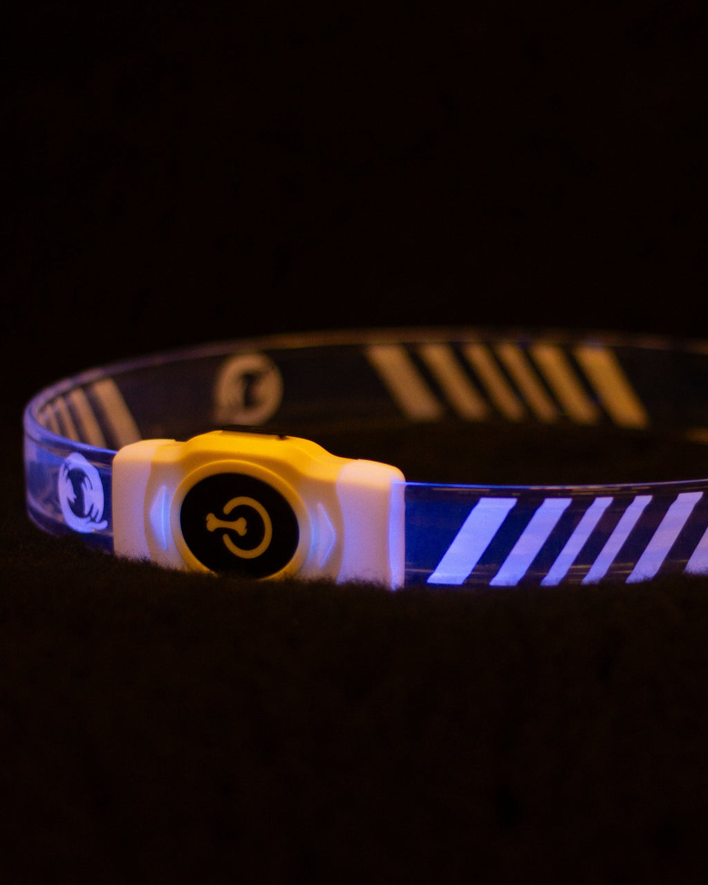 Blinkhalsband bred (pälshundar)