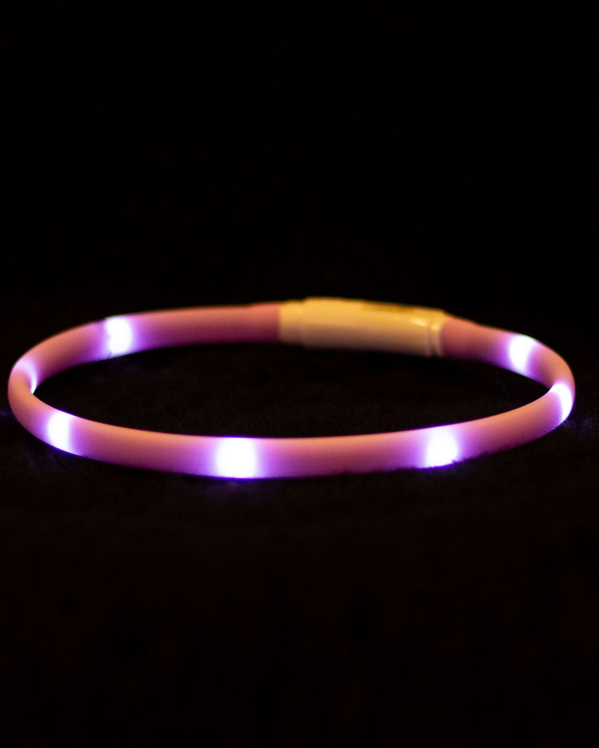 Blinkhalsband valp/småhund