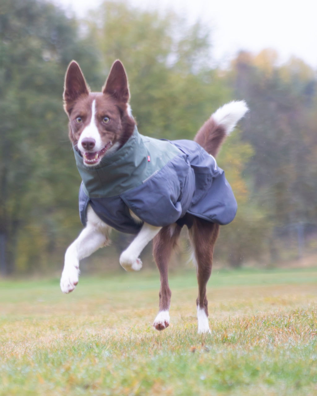 Non-stop Glacier wool