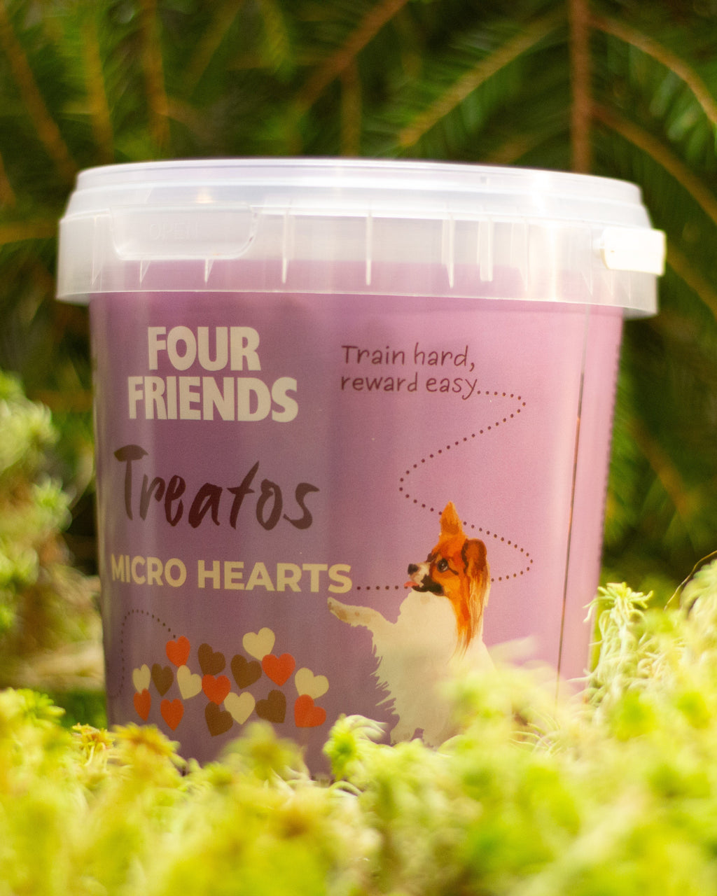 Four Friends Treatos  Micro heart
