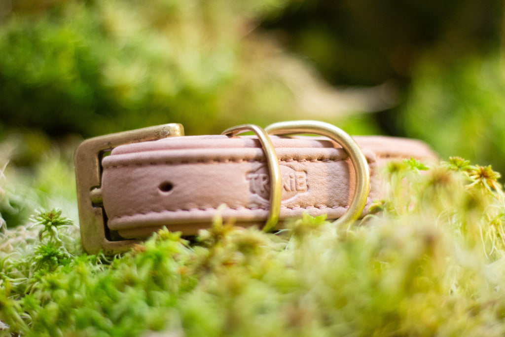 Pure fast halsband rosa