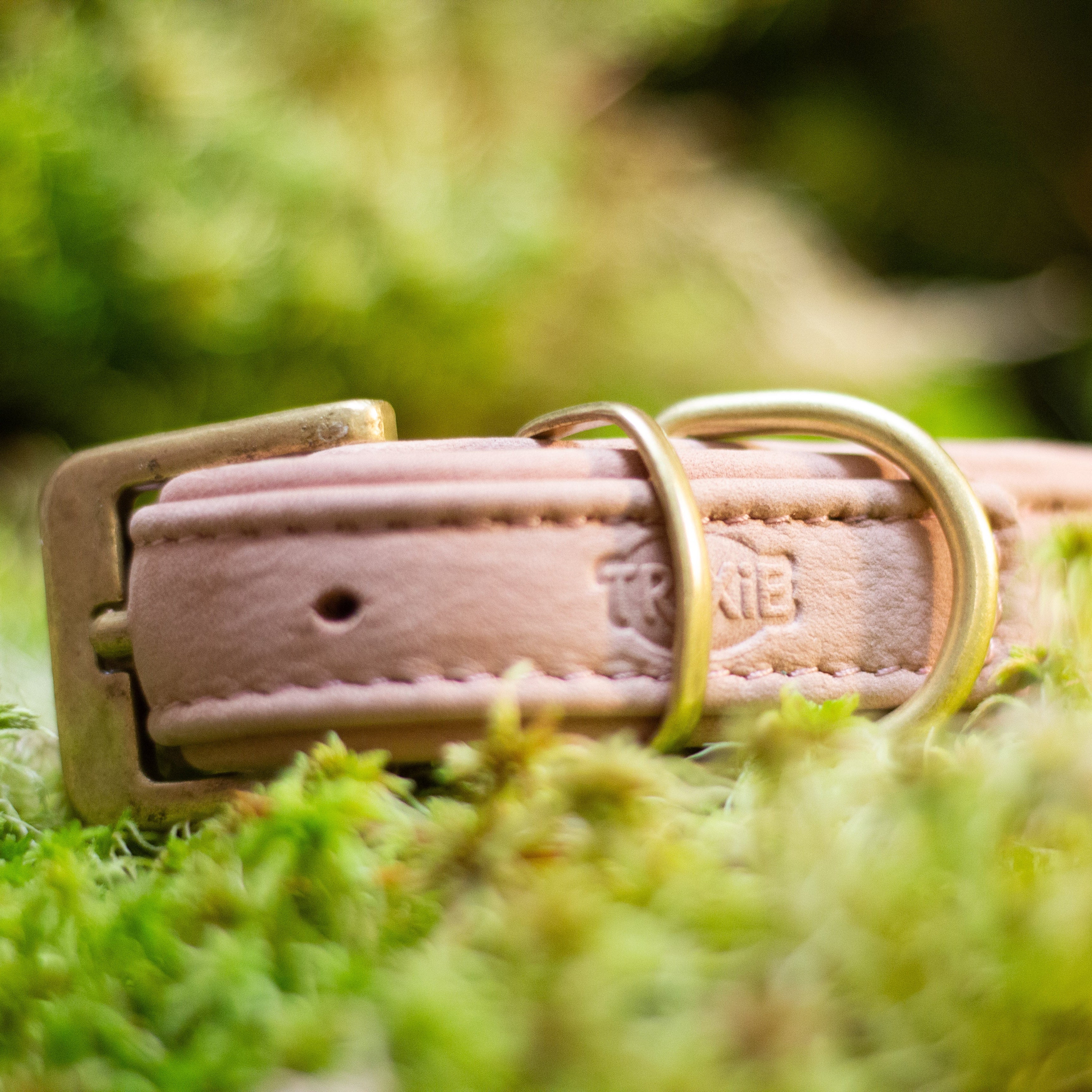 Pure fast halsband rosa