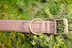Pure fast halsband rosa