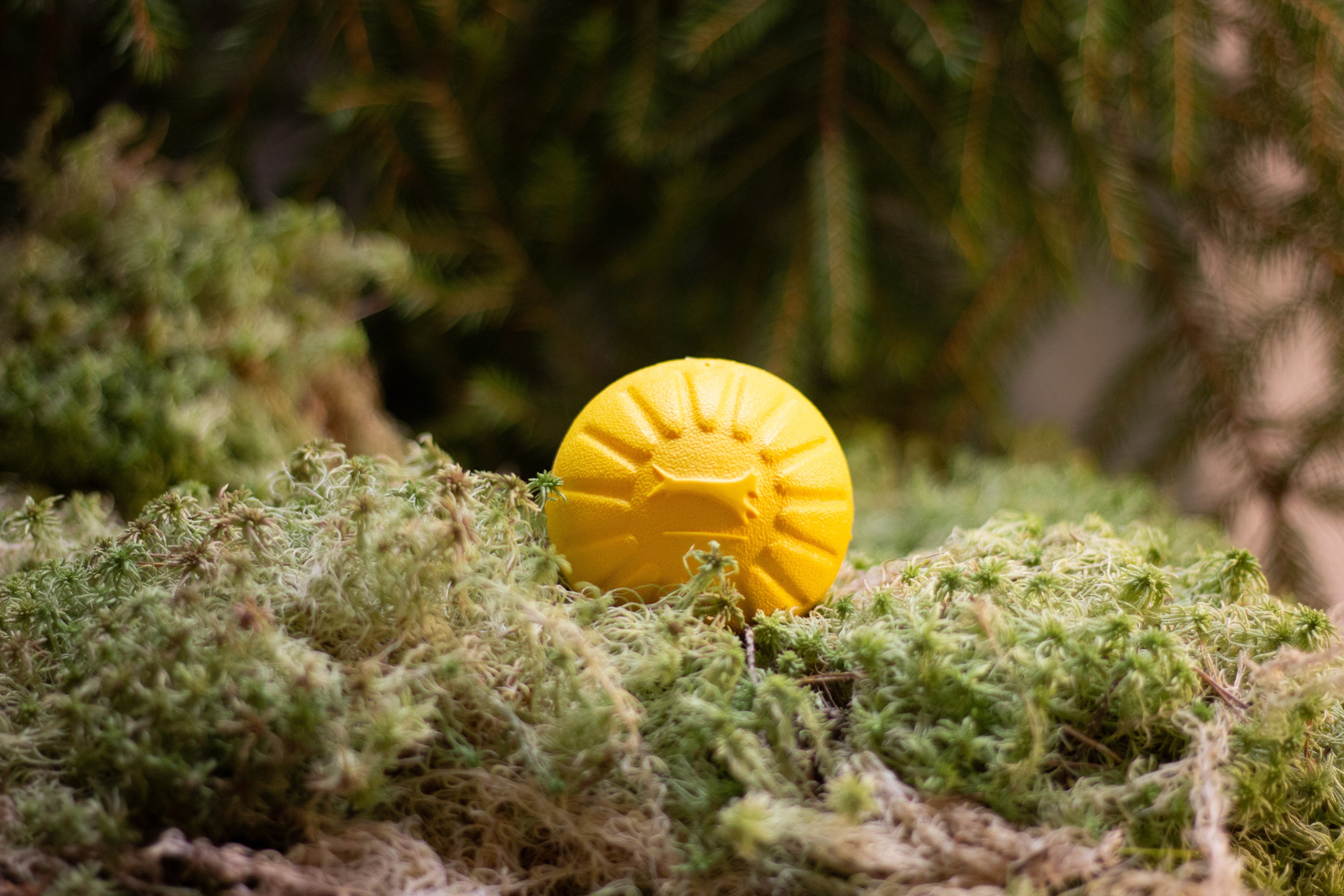 Starmark Foam ball