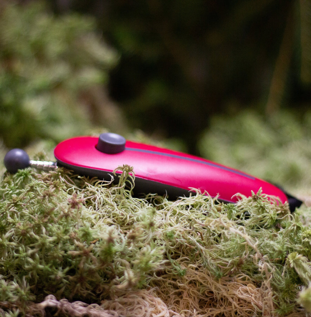 Klicker med targetstick och band