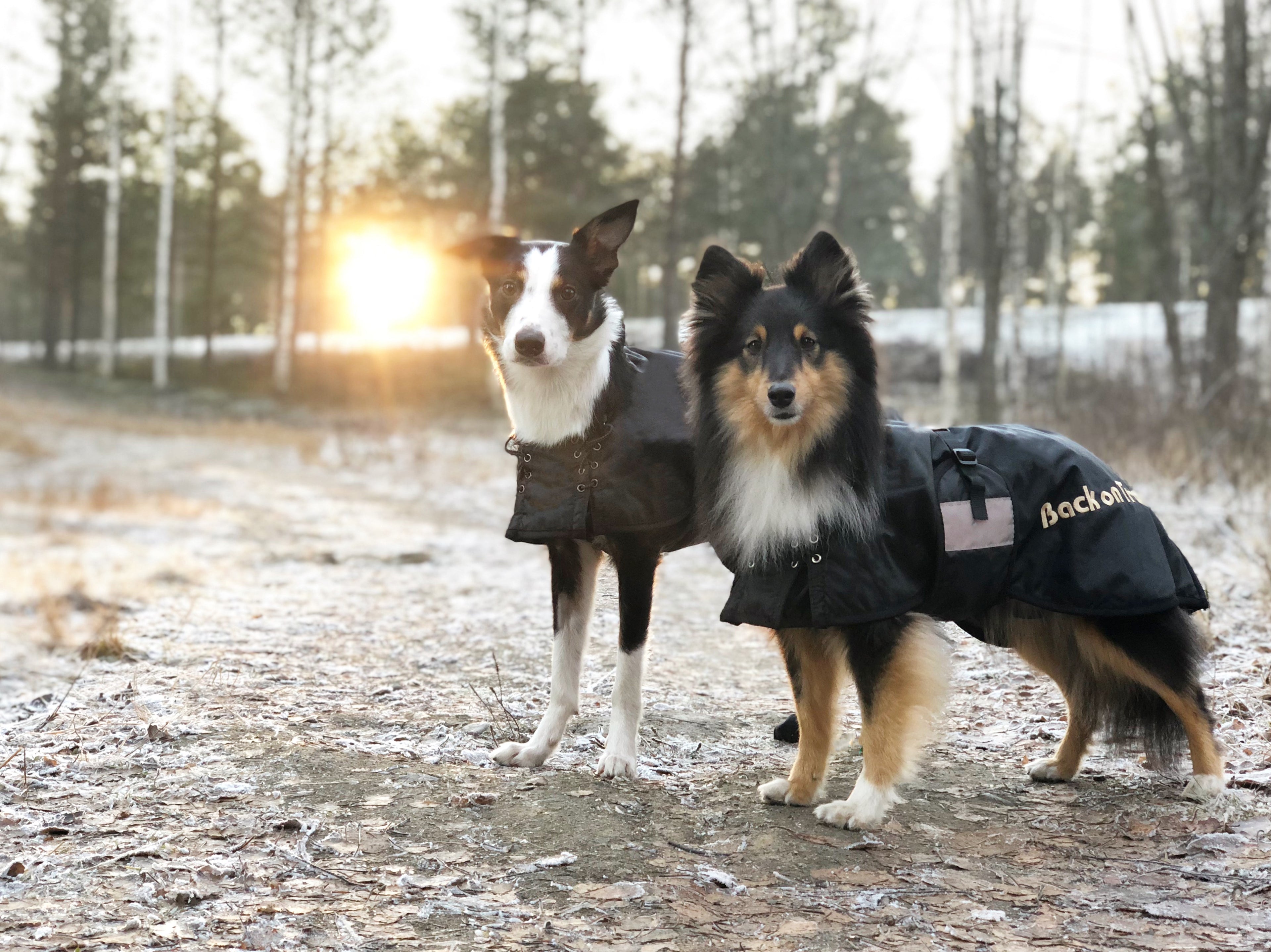 Back On Track Standardtäcke