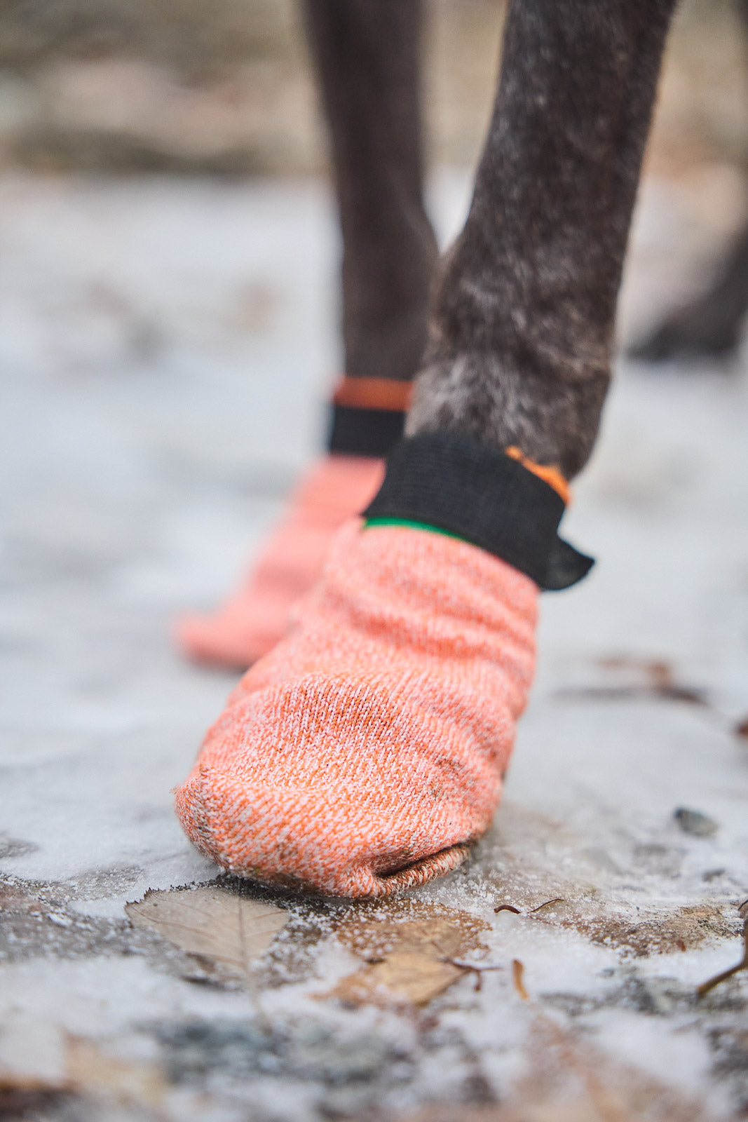 Non-stop Protector light socks